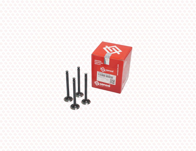 EXHAUST VALVE