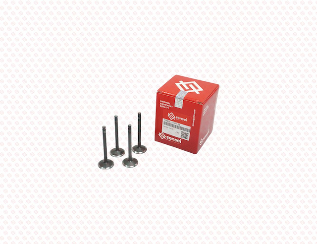INTAKE VALVE