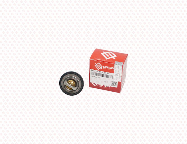 THERMOSTAT
