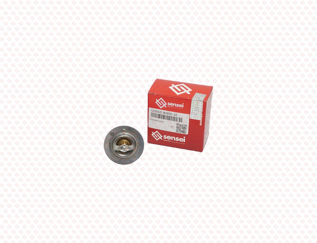 THERMOSTAT