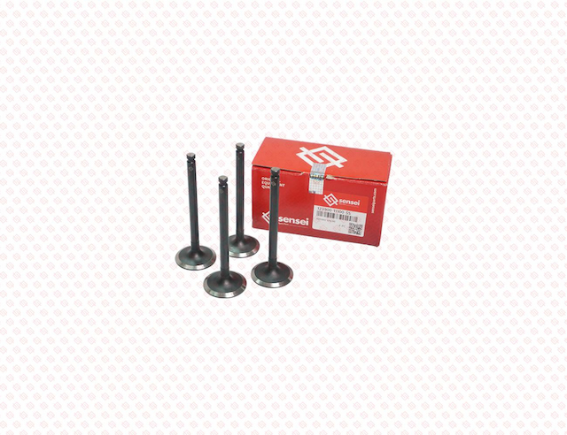 INTAKE VALVE