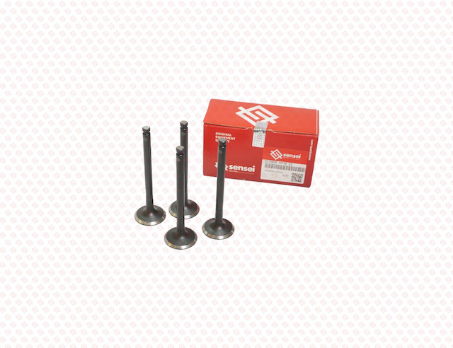 EXHAUST VALVE