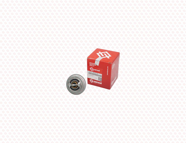 THERMOSTAT