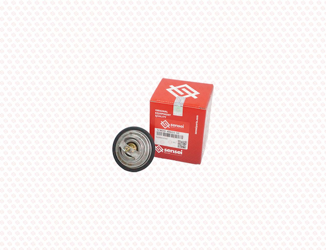 THERMOSTAT