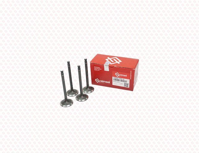 INTAKE VALVE