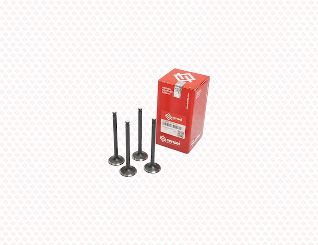 EXHAUST VALVE