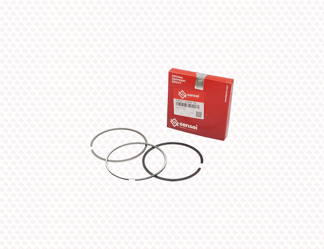 RING SET STD