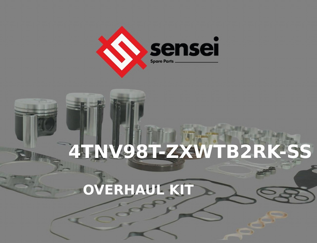 OVERHAUL KIT