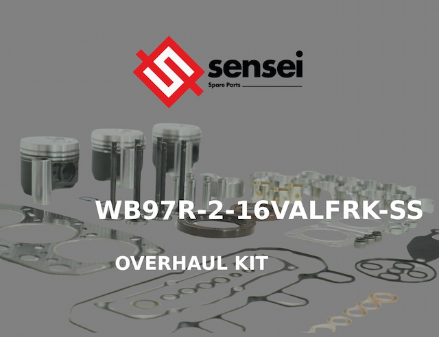 OVERHAUL KIT