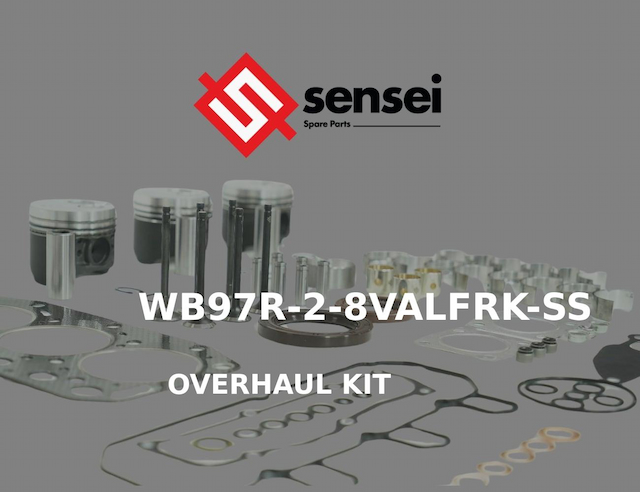 OVERHAUL KIT