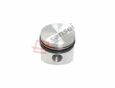 105311-22090-SS-4