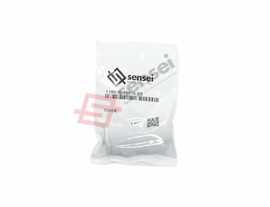 119000-11810-SS-1