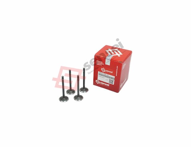 INTAKE VALVE