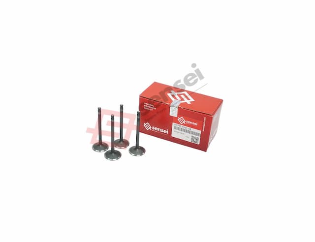 INTAKE VALVE