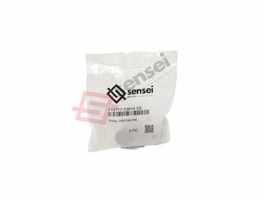 119717-23910-SS-1