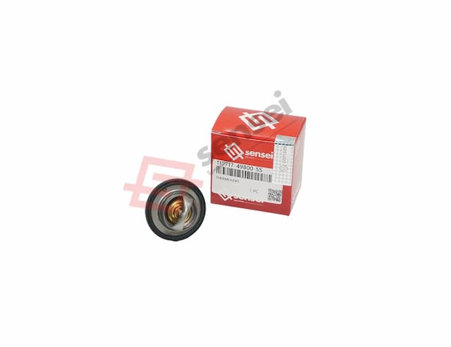 THERMOSTAT