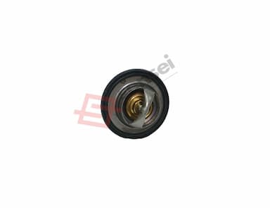 119717-49800-SS-2