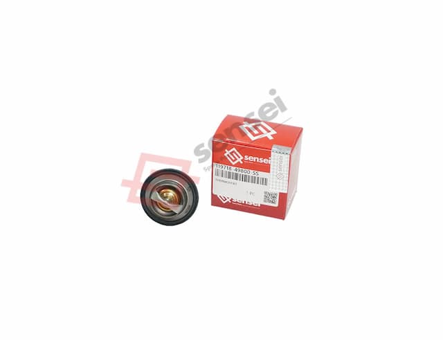 THERMOSTAT