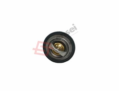 119718-49800-SS-2