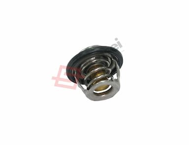 119718-49800-SS-4