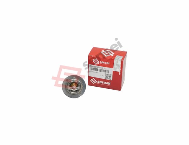 THERMOSTAT