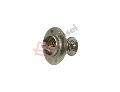 121850-49810-SS-2