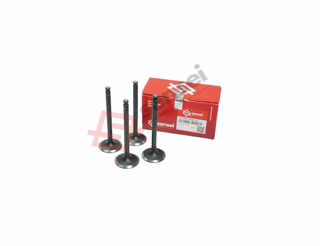 INTAKE VALVE