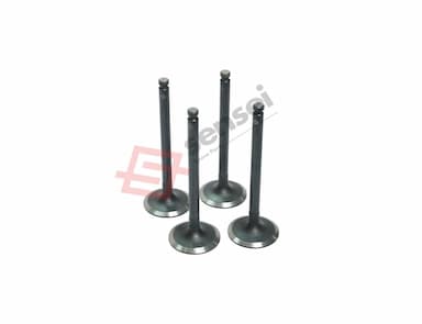 123900-11100-SS-2