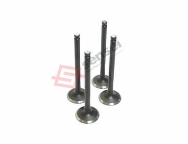 123900-11110-SS-3