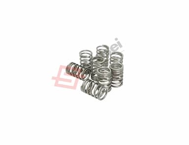 123900-11120-SS-2