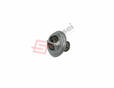 123911-48620-SS-2