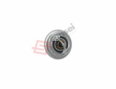 123911-48620-SS-6