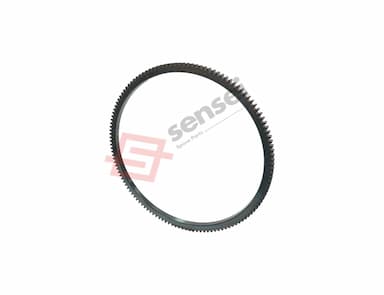 124550-21600-SS-2