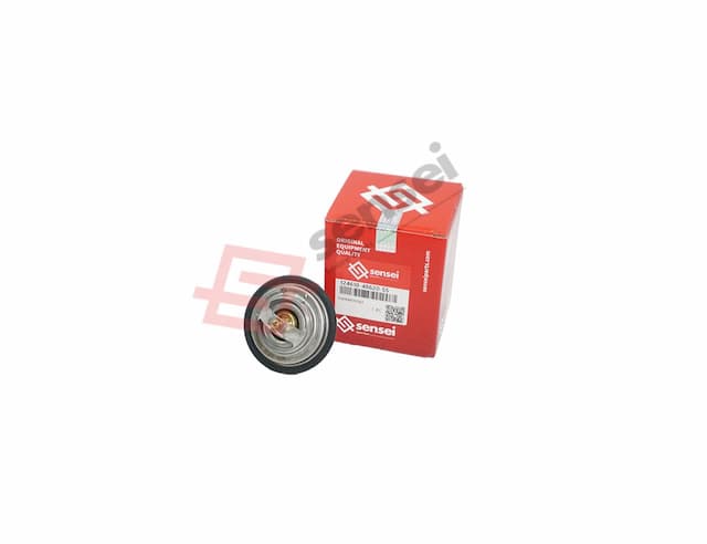 THERMOSTAT