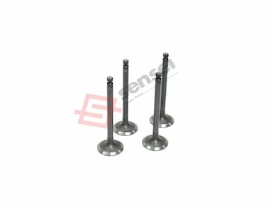 129004-11130-SS-2