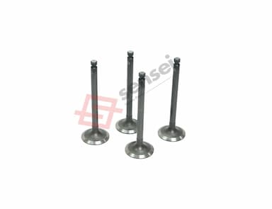 129004-11130-SS-3