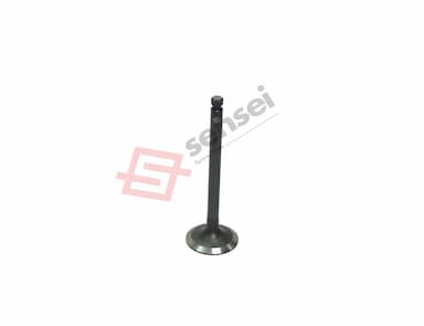 129004-11130-SS-5