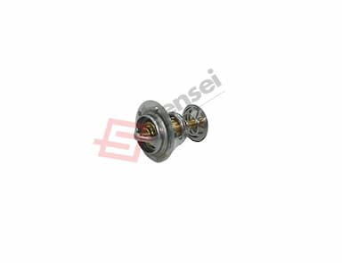 129155-49801-SS-2