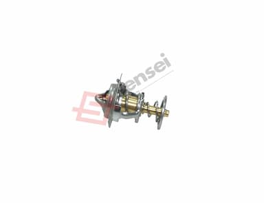 129155-49801-SS-3
