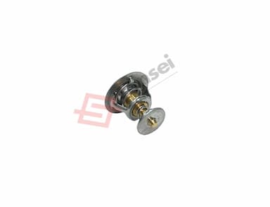 129155-49801-SS-4
