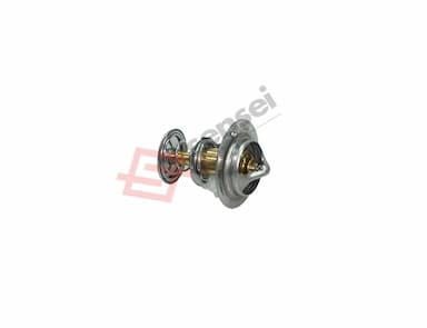 129155-49801-SS-6