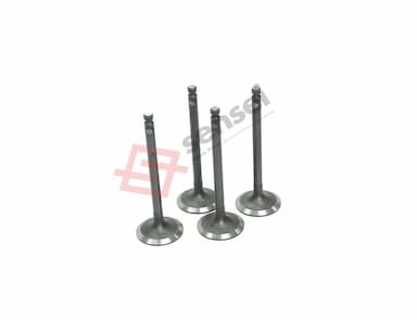 129900-11100-SS-2