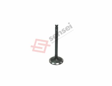 129900-11100-SS-3