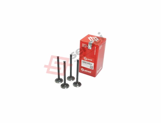 EXHAUST VALVE