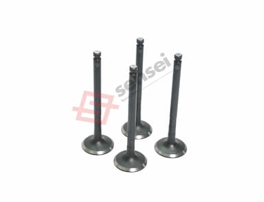 129900-11110-SS-3
