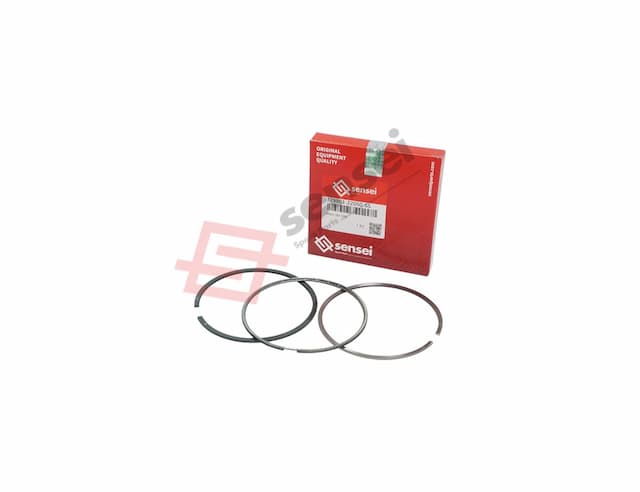 RING SET STD