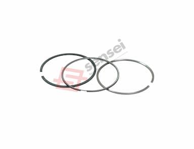 129903-22050-SS-2