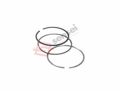 129903-22050-SS-3
