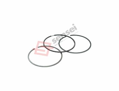 129904-22950-SS-2