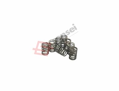 129907-11120-SS-2